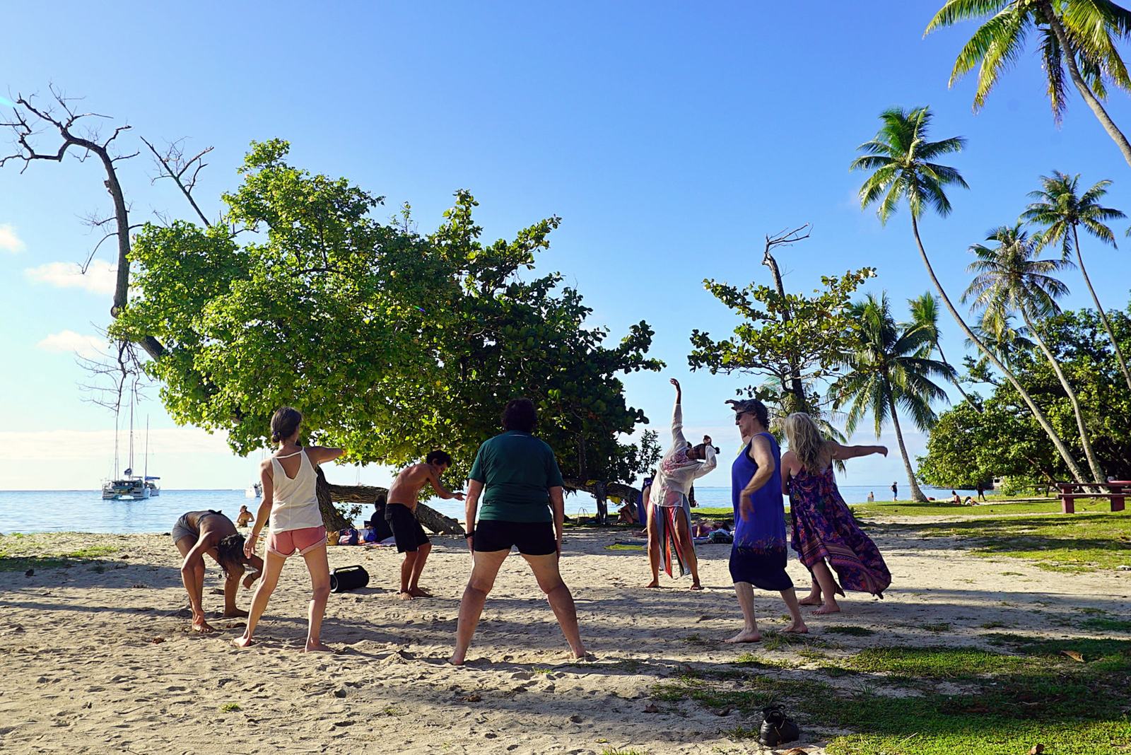 Learners exercising on the beach under palm trees